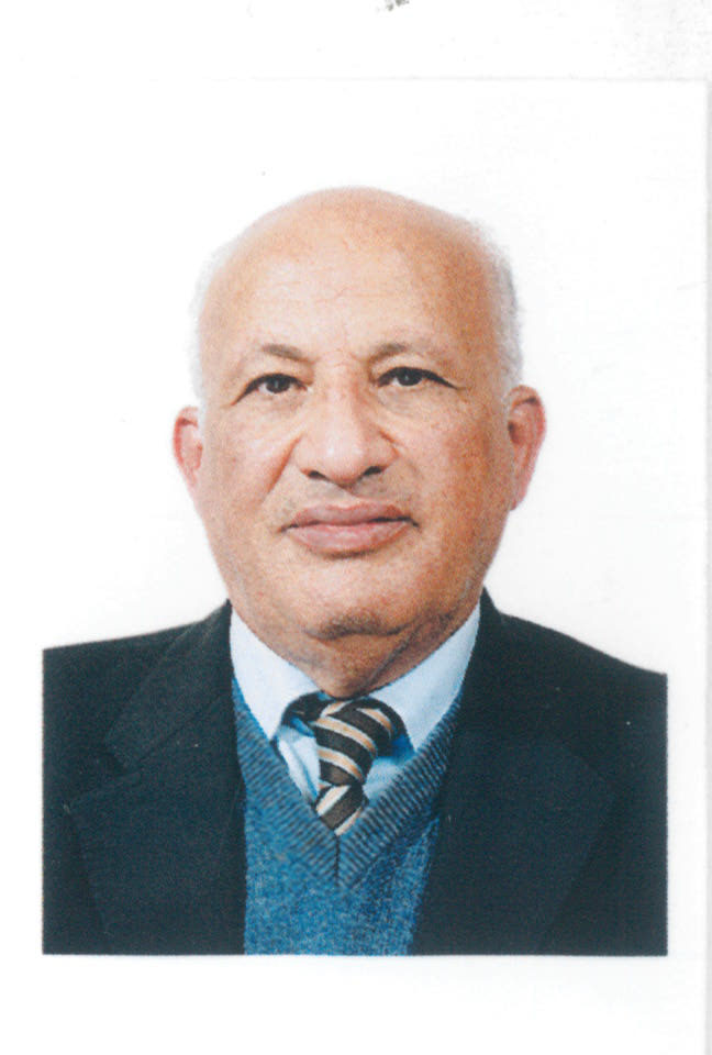 البروفيسور